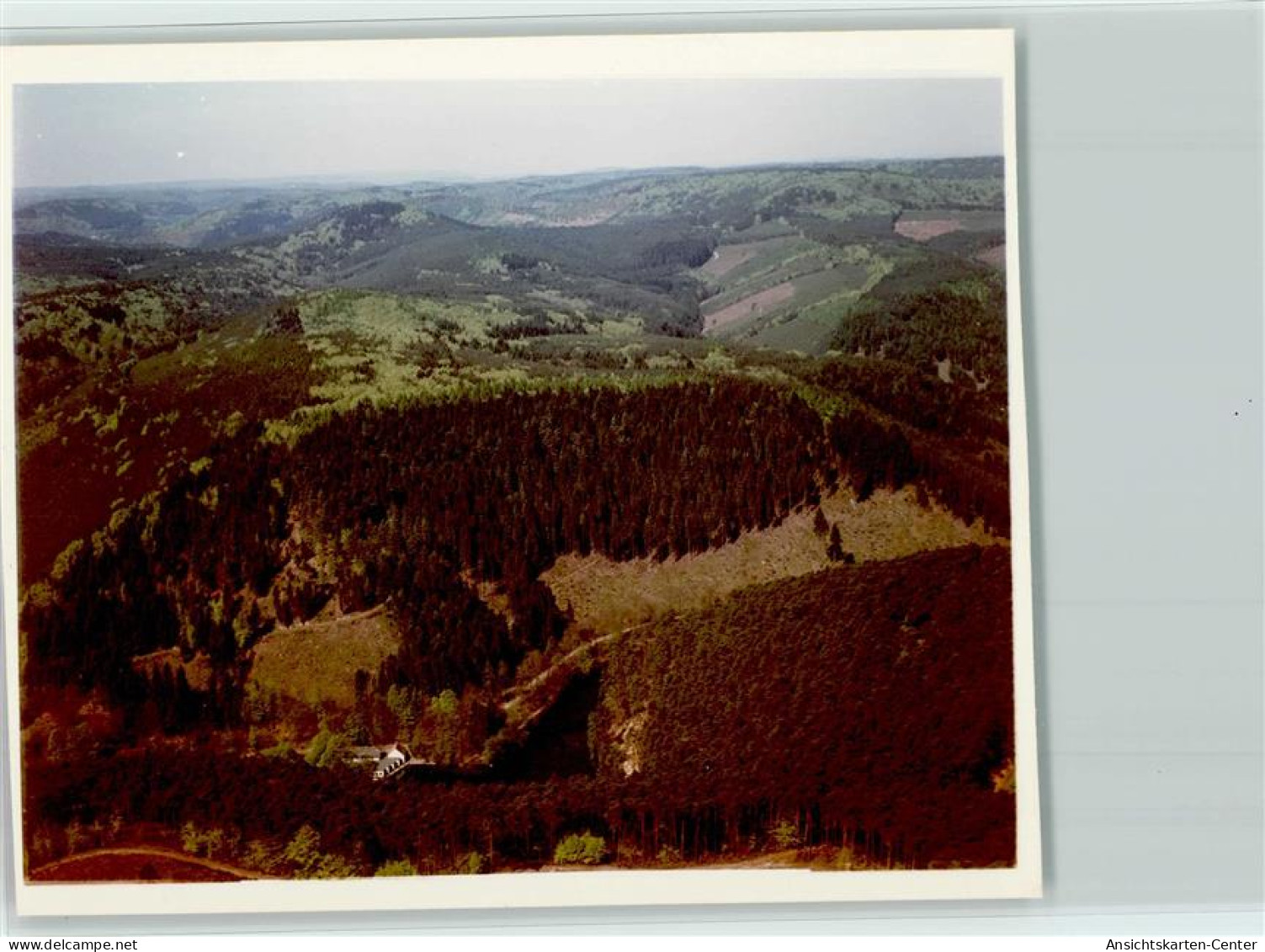 40019901 - Bad Duerkheim - Bad Duerkheim