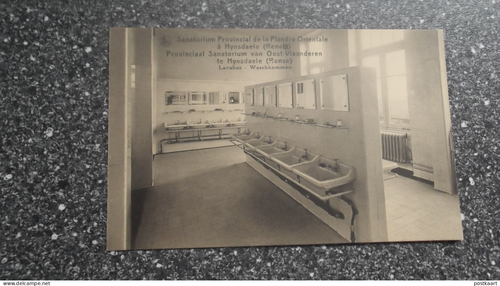 HYNSDAELE - RONSE: Sanatorium Provincial De La Flandre Orientale - Lavabos - Renaix - Ronse