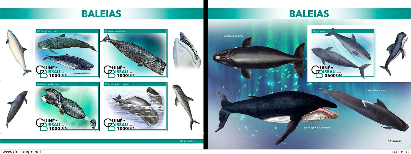 Guinea Bissau 2022, Animals, Whales, 4val In BF+BF IMPERFORATED - Whales