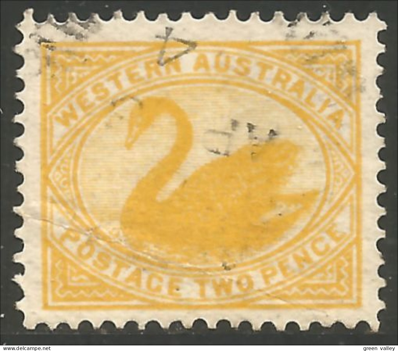 944 Western Australia Swan Two Pence Perf 12.75 X 12.25 (WEA-5) - Usados