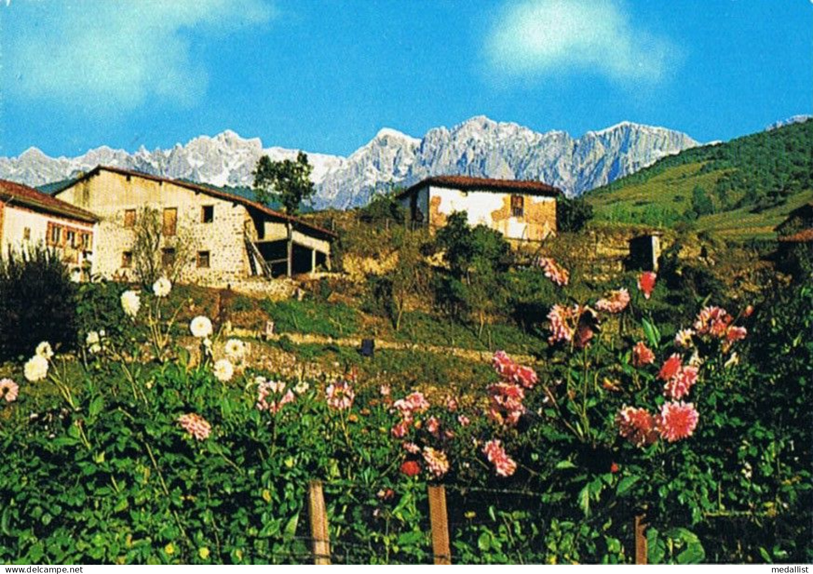 CPM..ESPAGNE..ASTURIAS..PICOS DE EUROPA..VALLEE DE LIEBANA - Asturias (Oviedo)