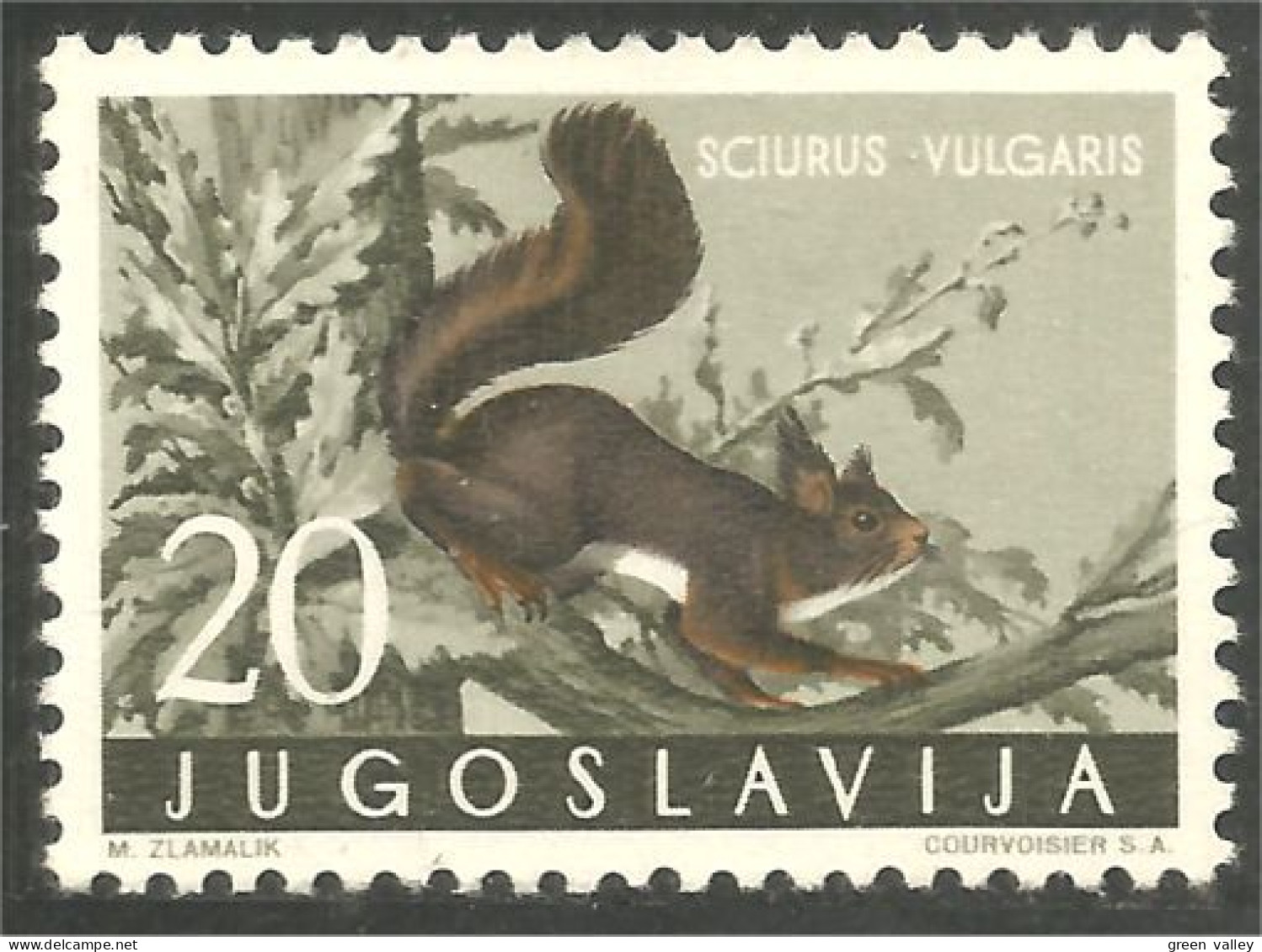 954 Yougoslavie Ecureuil Squirrel Eichhörnchen Eekhoorn Scoiattolo Ardilla MNH ** Neuf SC (YUG-369) - Knaagdieren