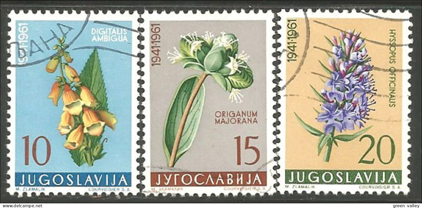 954 Yougoslavie Fleurs Blumen Flowers Origan Marjorie Oregano (YUG-347) - Otros & Sin Clasificación