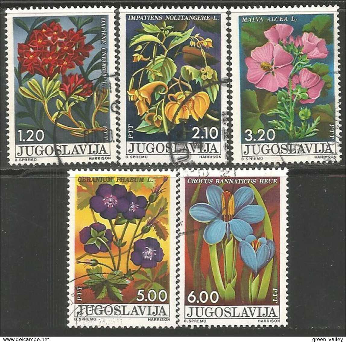 954 Yougoslavie Fleurs Blumen Flowers Crocus Impatiente (YUG-342) - Otros & Sin Clasificación