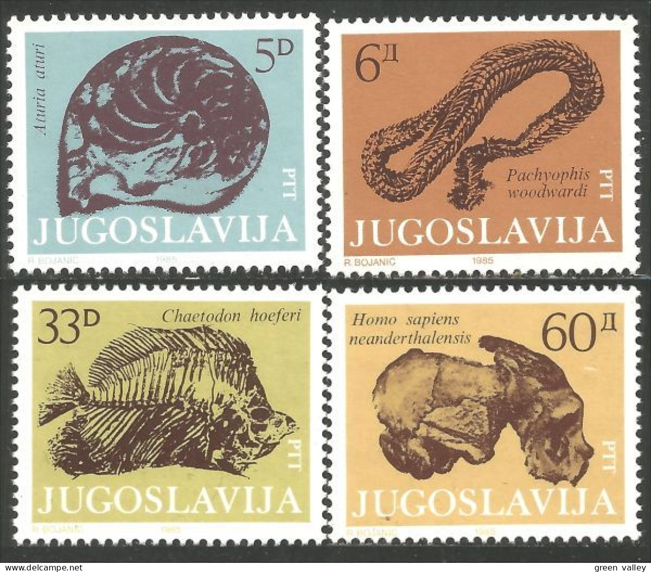 954 Yougoslavie Musée Museum Fossiles Fossils MNH ** Neuf SC (YUG-315) - Altri & Non Classificati