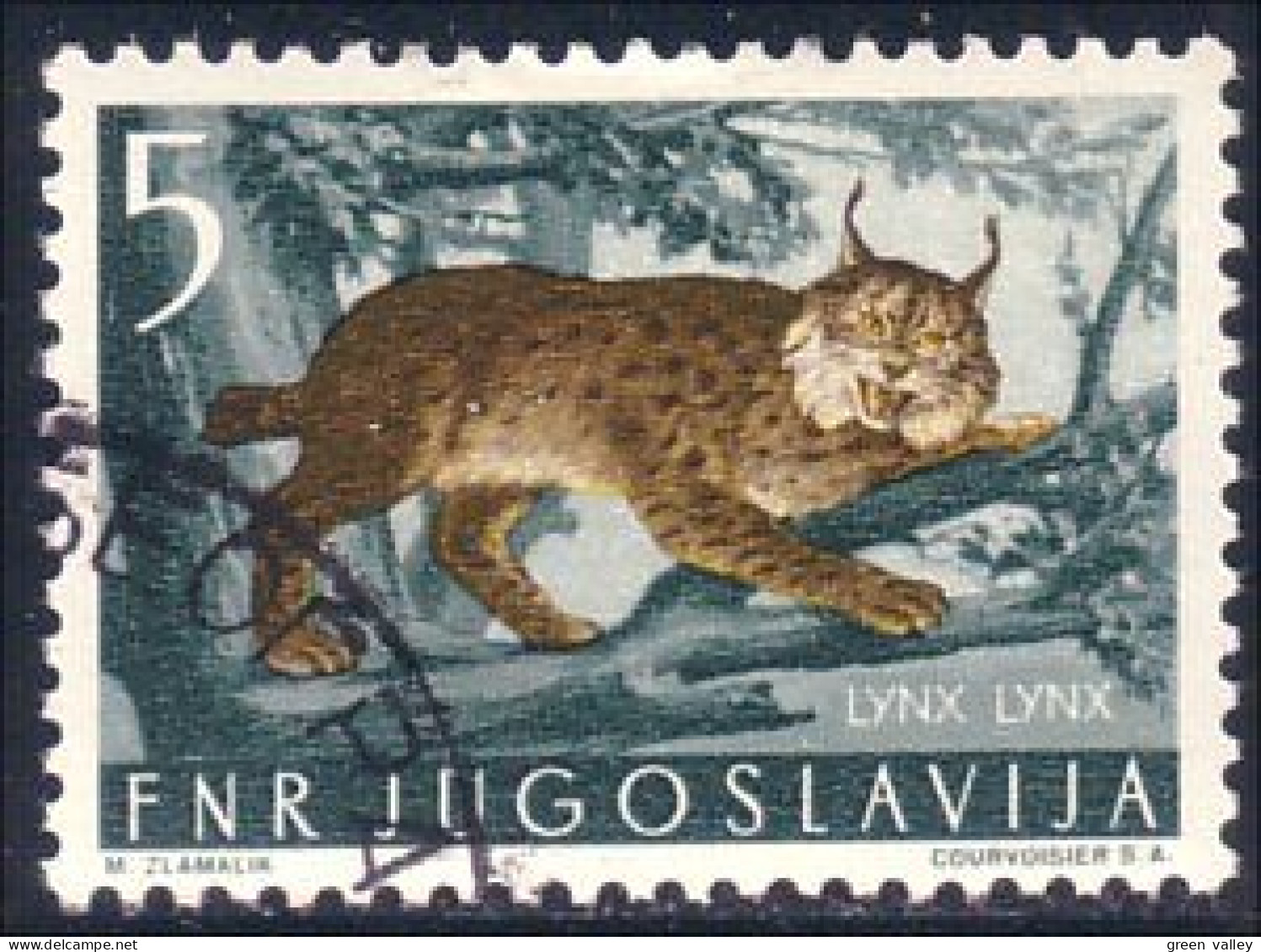 954 Yougoslavie Lynx (YUG-252) - Big Cats (cats Of Prey)