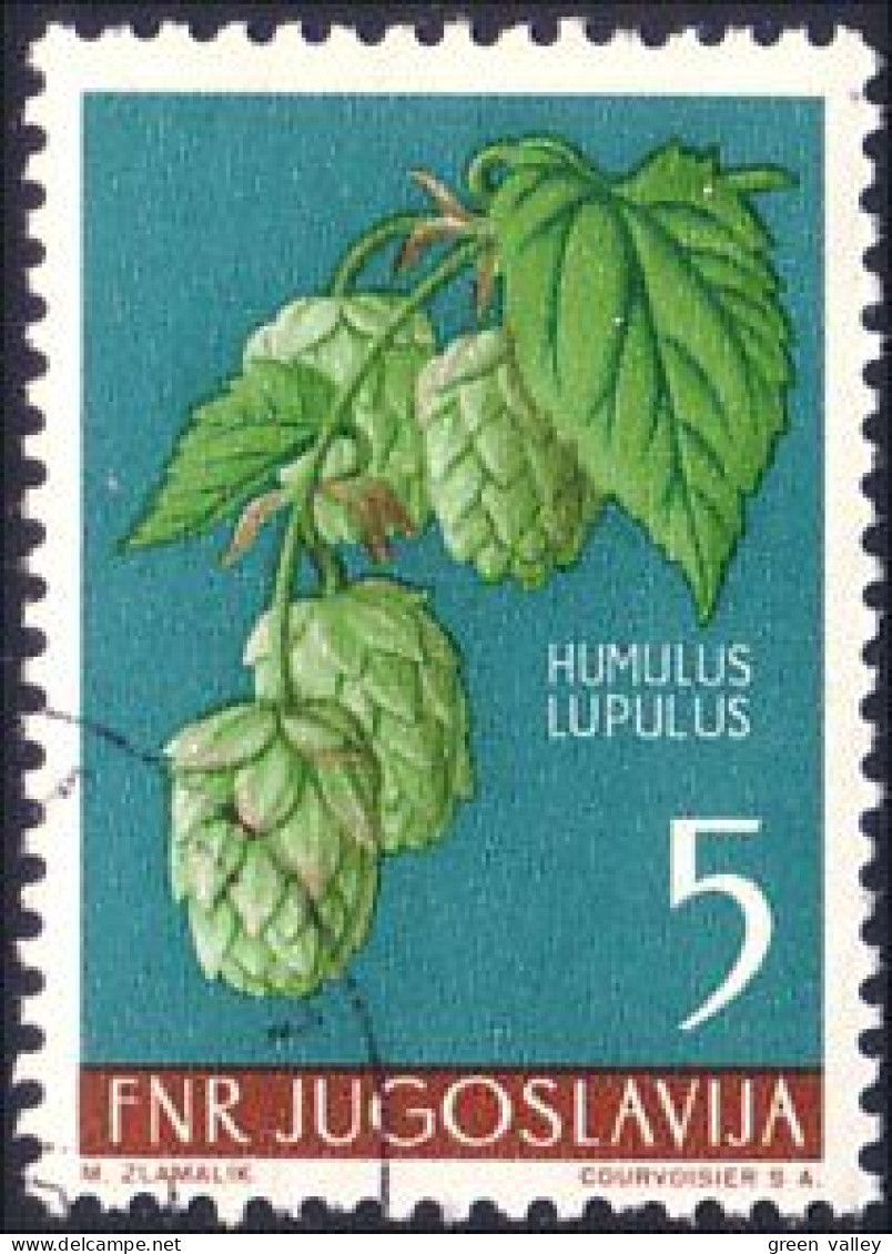 954 Yougoslavie Hops Houblon (YUG-233) - Bières