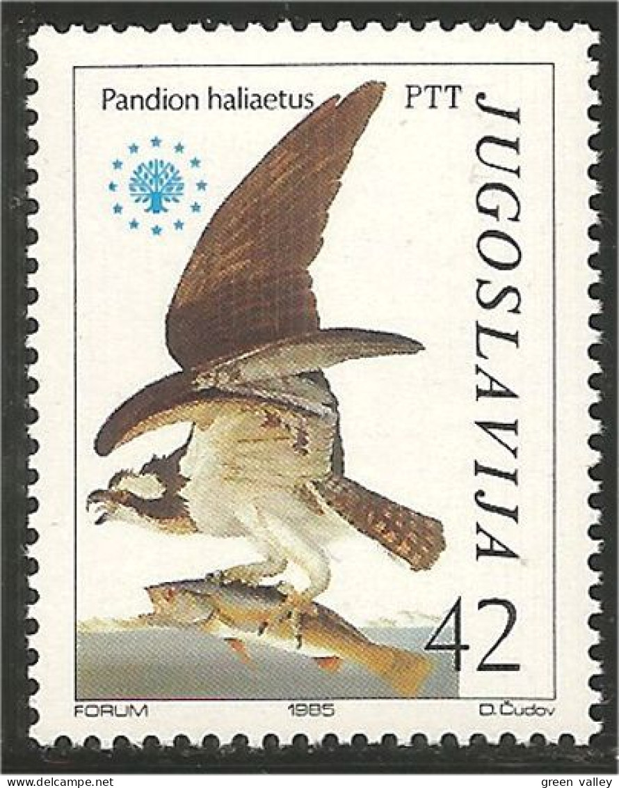 954 Yougoslavie Osprey Faucon Falcon Falkon MNH ** Neuf SC (YUG-197) - Aigles & Rapaces Diurnes