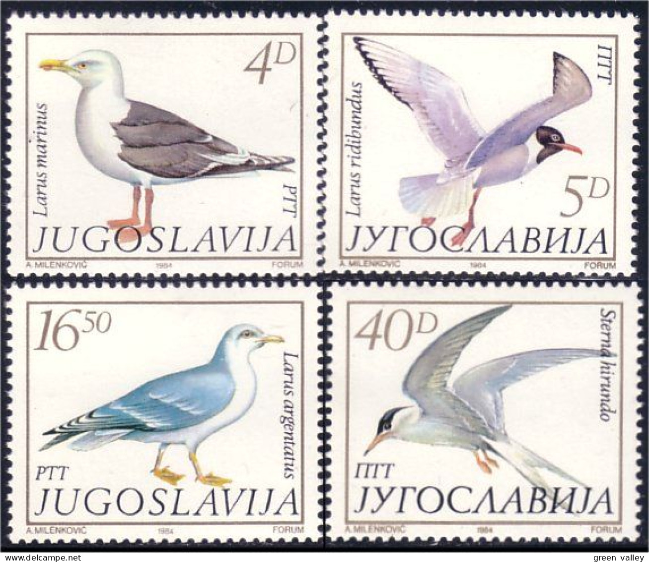 954 Yougoslavie Birds Oiseaux MNH ** Neuf SC (YUG-69a) - Nuovi
