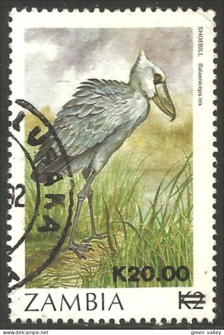 958 Zambia Oiseau Shoebill Bird (ZAM-66d) - Aves Gruiformes (Grullas)