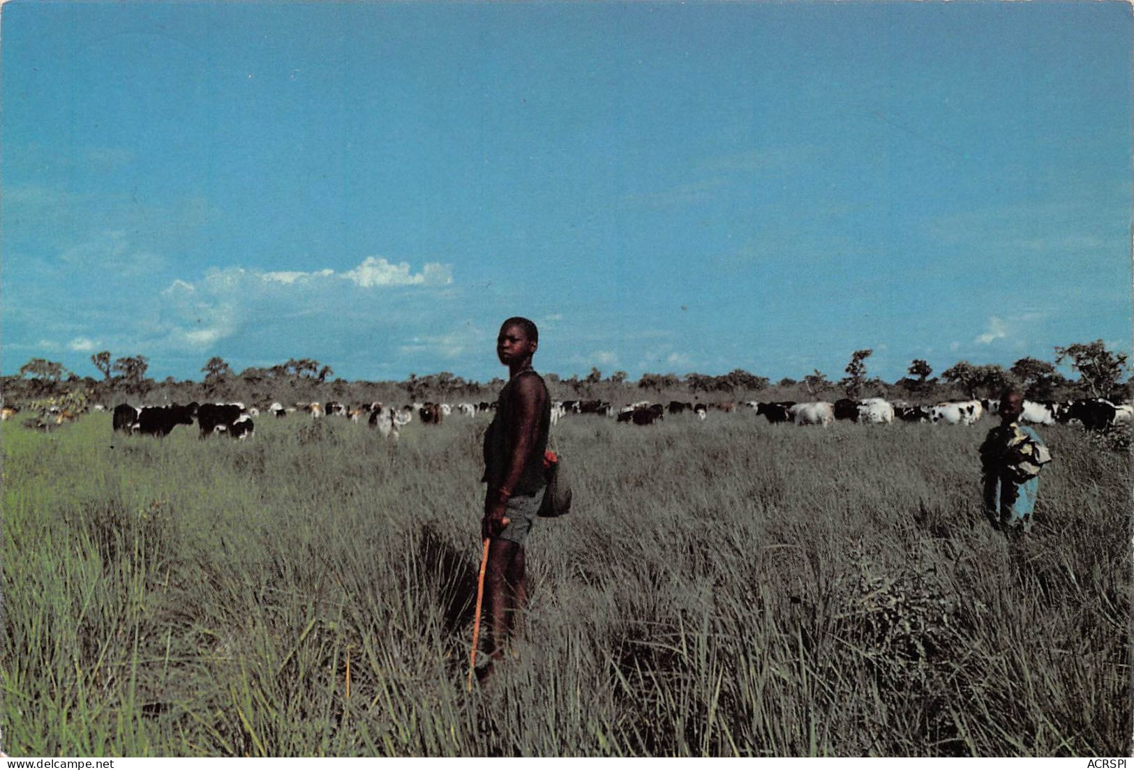 TOGO Berger Dans Le Nord Du Pays  Carte Vierge Non Circulé éd Delroisse (Scans R/V) N° 43 \MP7108 - Togo