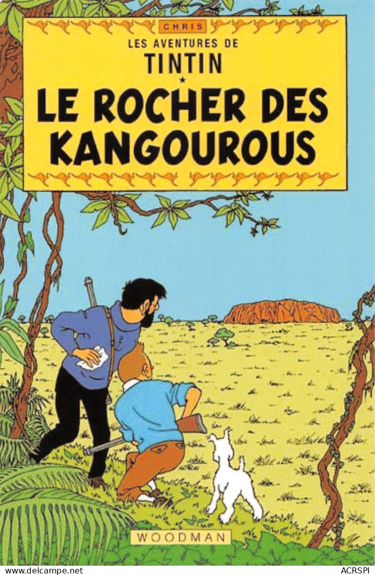 TINTIN Le Rocher Des Kangourous  éditions Chris WOODMAN (2 Scans) N° 13 \MP7116 - Comics