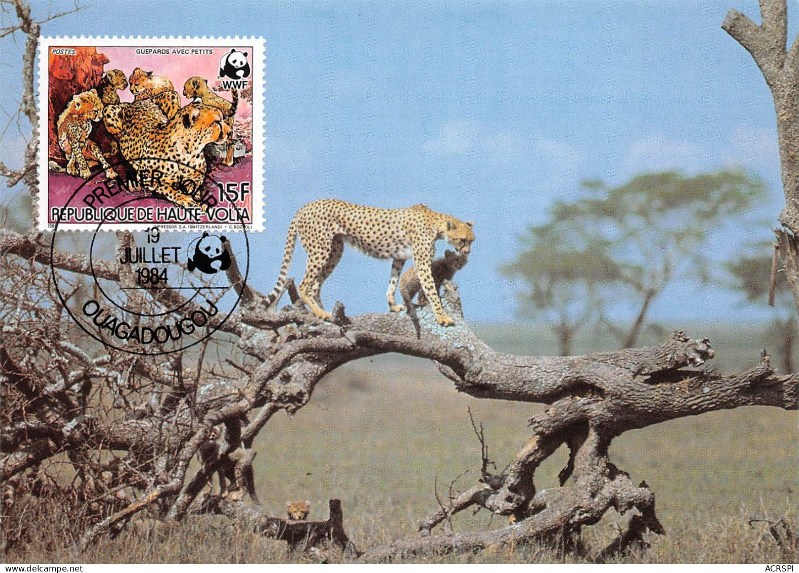 BURKINA FASO Ex Haute-Volta CHEETAH GUEPARDO Guepard OUAGADOUGOU Premier Jour Vierge Non Circulé (2 Scans) N°63 \MP7111 - Burkina Faso