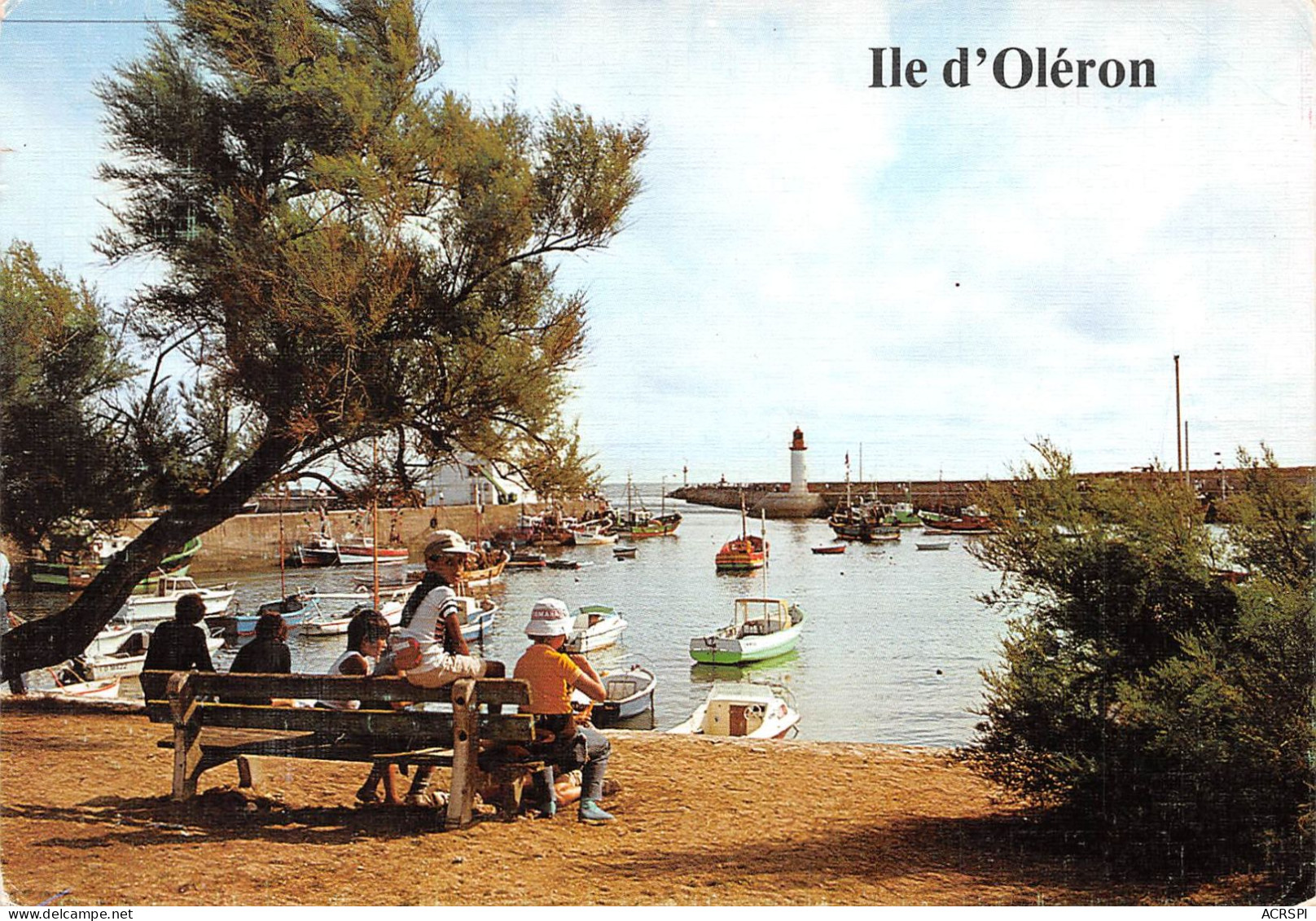 17 île D'OLERON Saint-Pierre-d'Oléron LA COTINIERE  Le Port   (Scan R/V) N° 20 \MP7146 - Saint-Pierre-d'Oleron