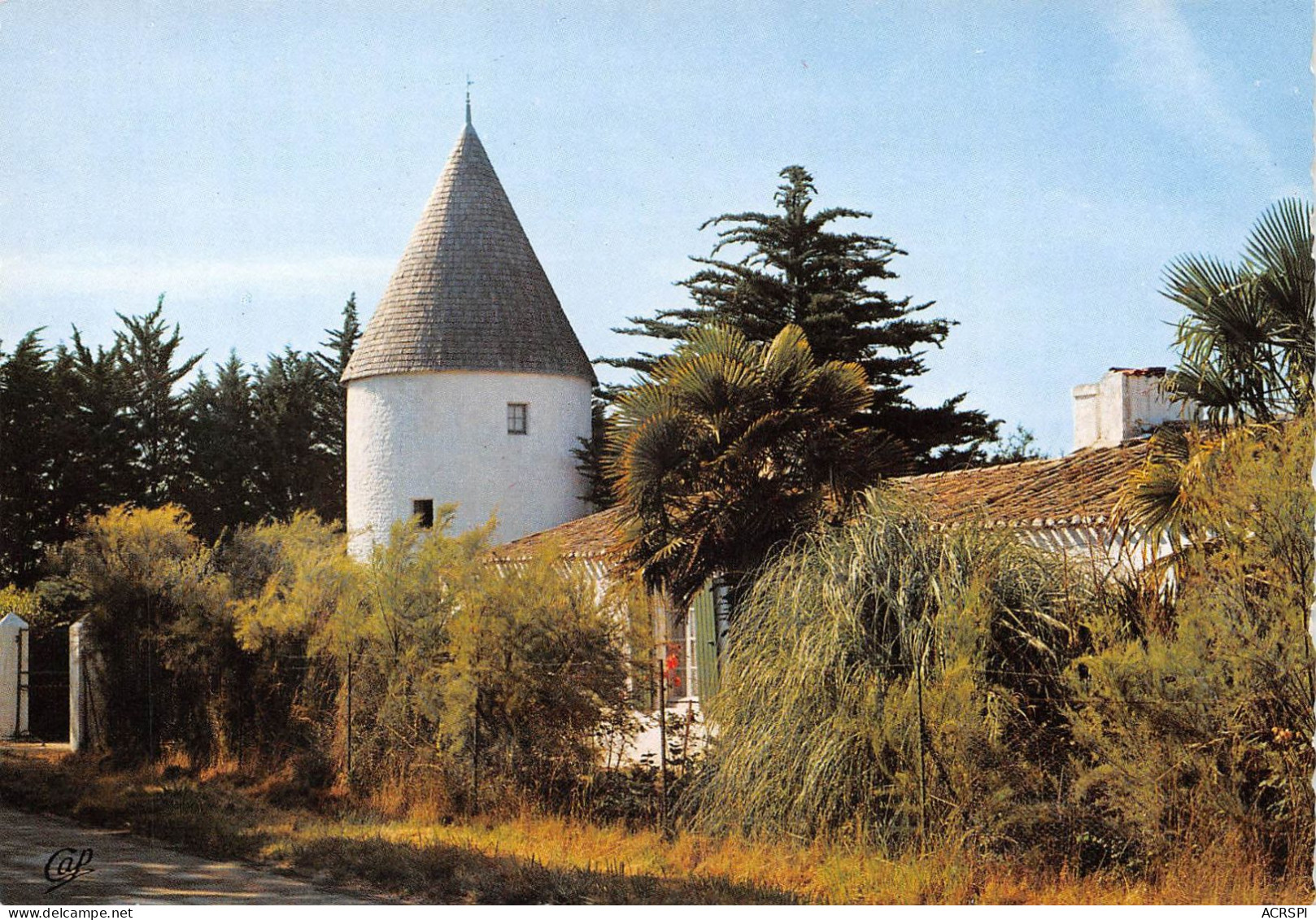 17 ILE D'OLERON Saint-Pierre-d'Oléron Moulin Du COIVRE (Scan R/V) N° 13 \MP7145 - Saint-Pierre-d'Oleron