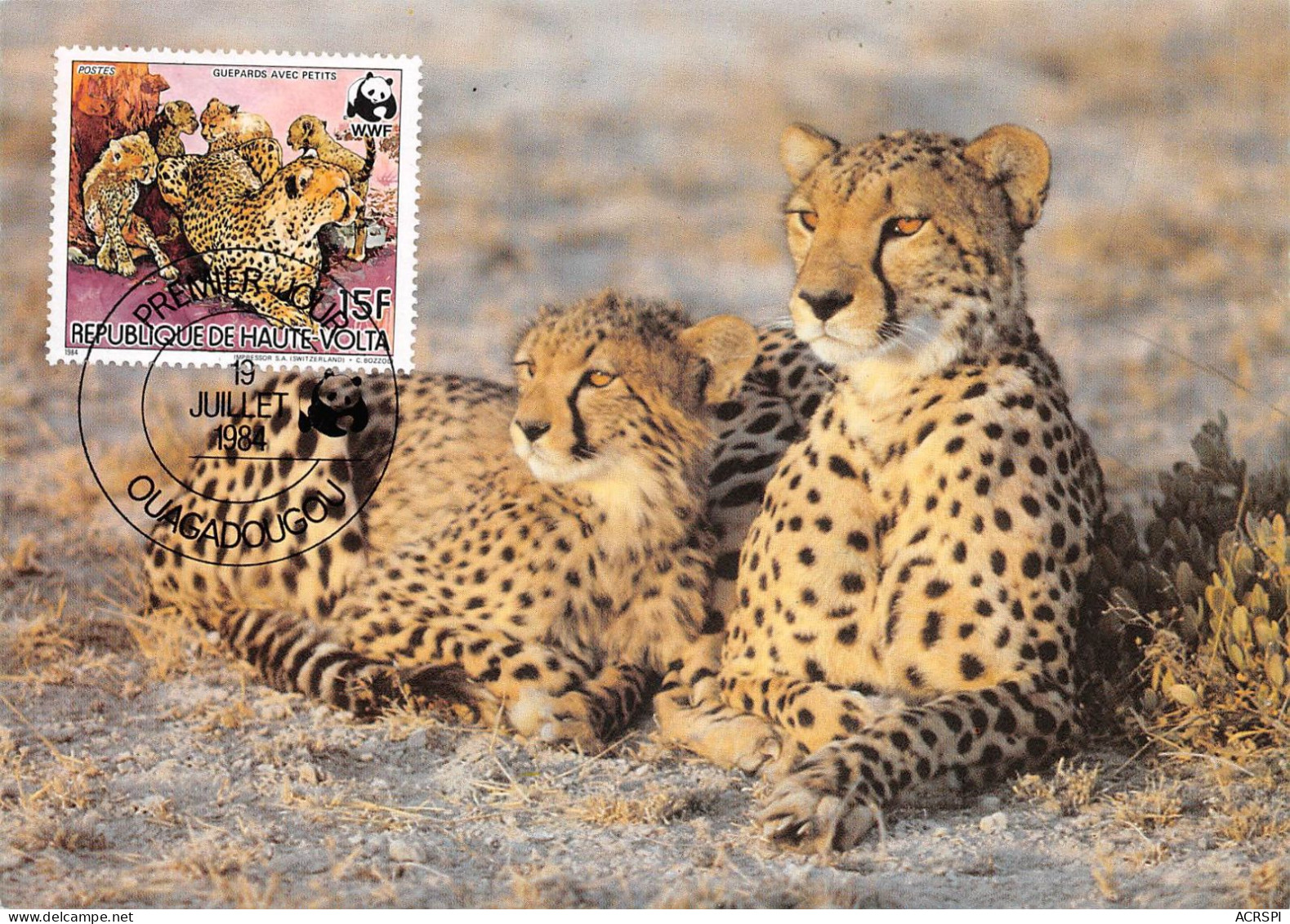 BURKINA-FASO OUAGADOUGOU Guepard Gepard Premier Jour 19 Juillet 1984   (Scan R/V) N° 37 \MP7167 - Burkina Faso