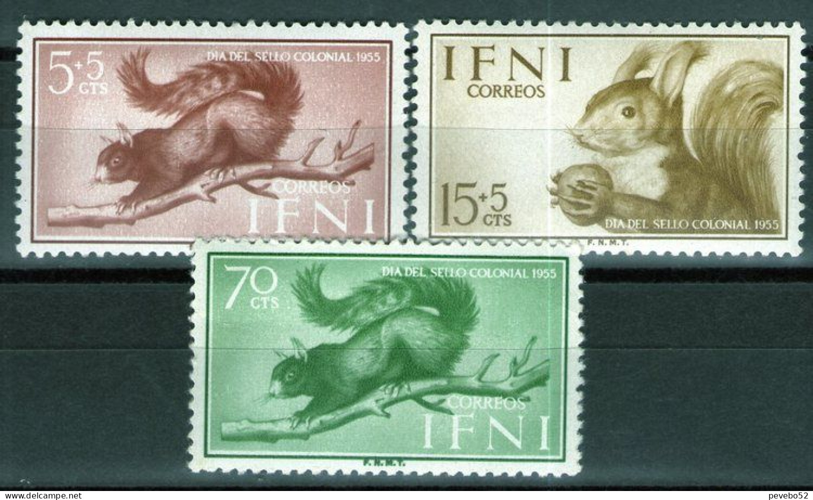 SPAINISH IFNI 1955 - Stamp Day - Squirrels MNH - Ifni