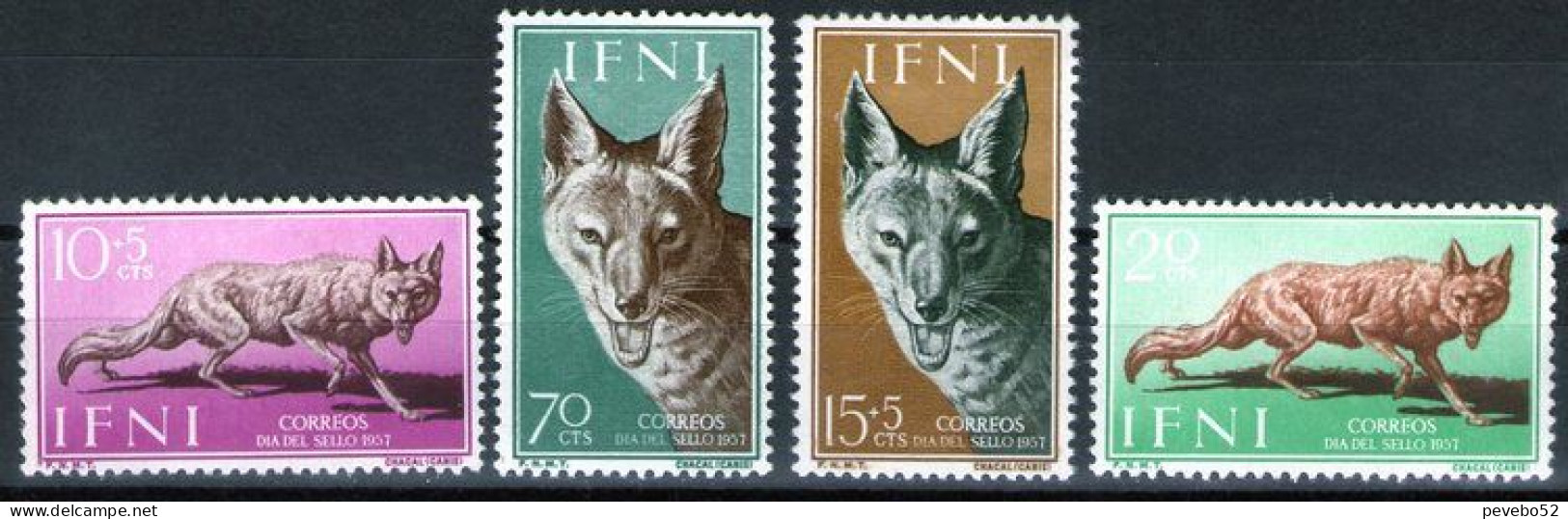 SPAINISH IFNI 1957 - Stamp Day - Golden Jackal MNH - Ifni