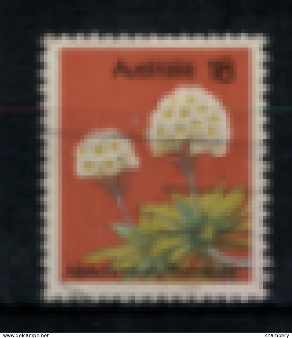 Australie - "Fleur : Helichysam" - Oblitéré N° 576 De 1975 - Used Stamps