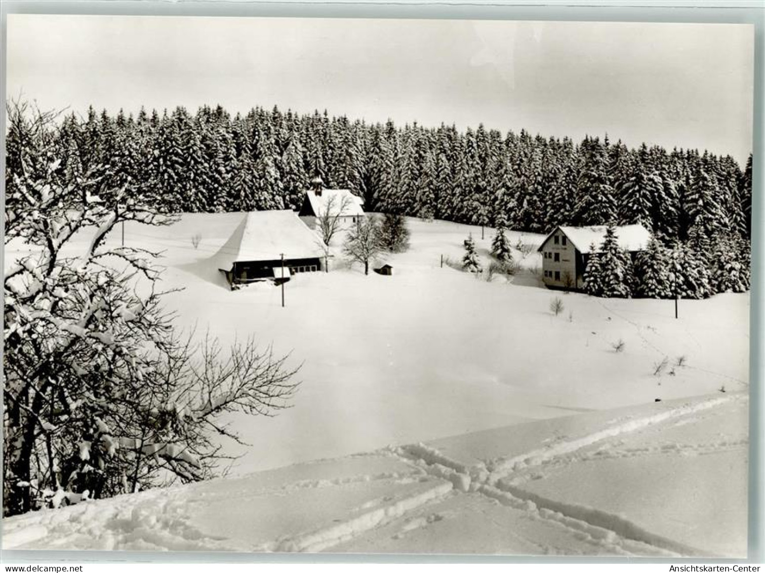 39668901 - Furtwangen Im Schwarzwald - Furtwangen