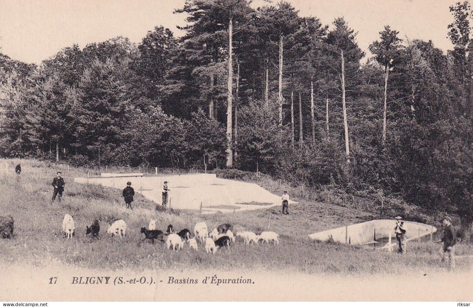 BRIIS SOUS FORGES(SANATORIUM DE BLIGNY) CHEVRE - Briis-sous-Forges