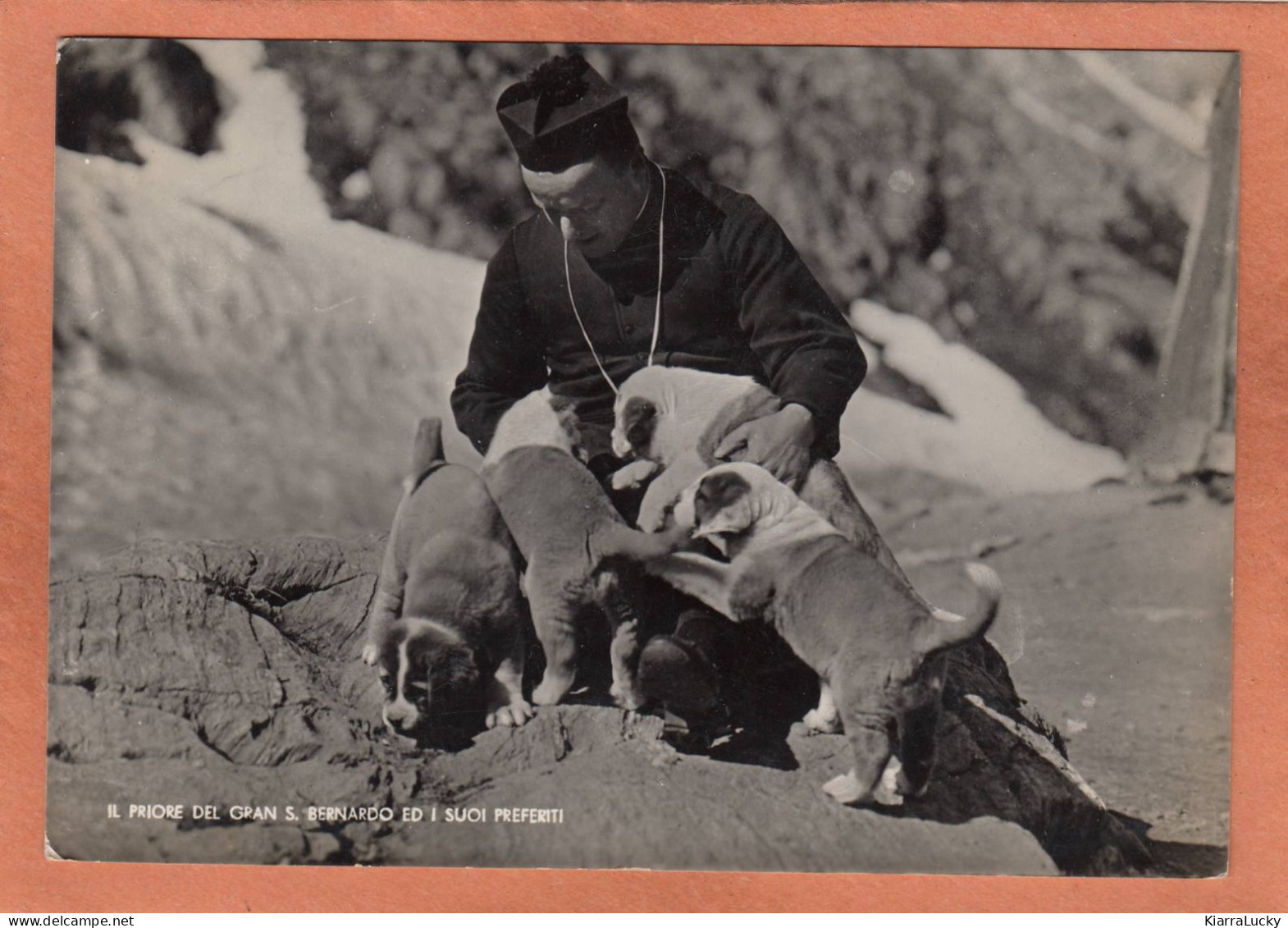 SUISSE - VALAIS - BOURG SAINT PIERRE - SAINT BERNARD - IL PRIORE DEL GRAN S. BERNARDO ED I SUOI PREFERITI - ECRITE - Bourg-Saint-Pierre 