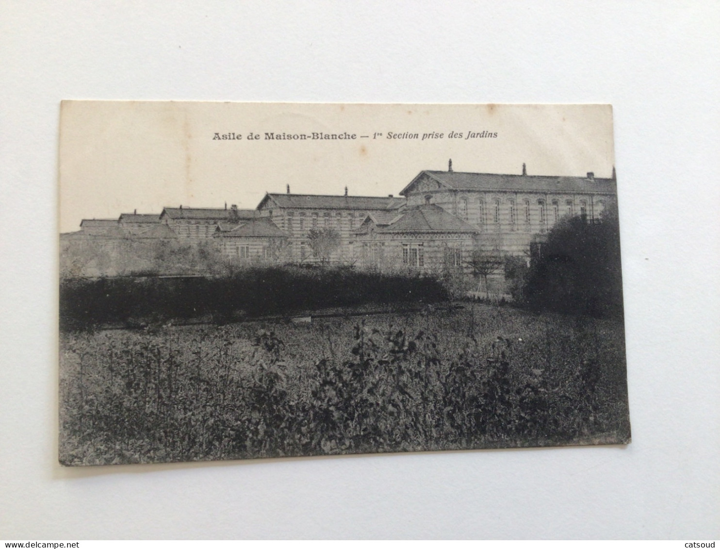 Carte Postale Ancienne (1929) Asile De Maison-Blanche - 1ère Section Prise Des Jardins - Neuilly Sur Marne
