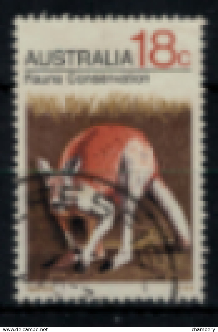 Australie - "Sté D'aide Aux Animaux : Conservatoire De La Faune" - Oblitéré N° 441 De 1971 - Gebruikt