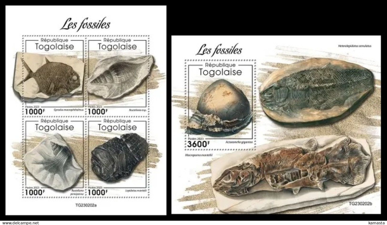 Togo  2023 Fossils. (202) OFFICIAL ISSUE - Fossielen