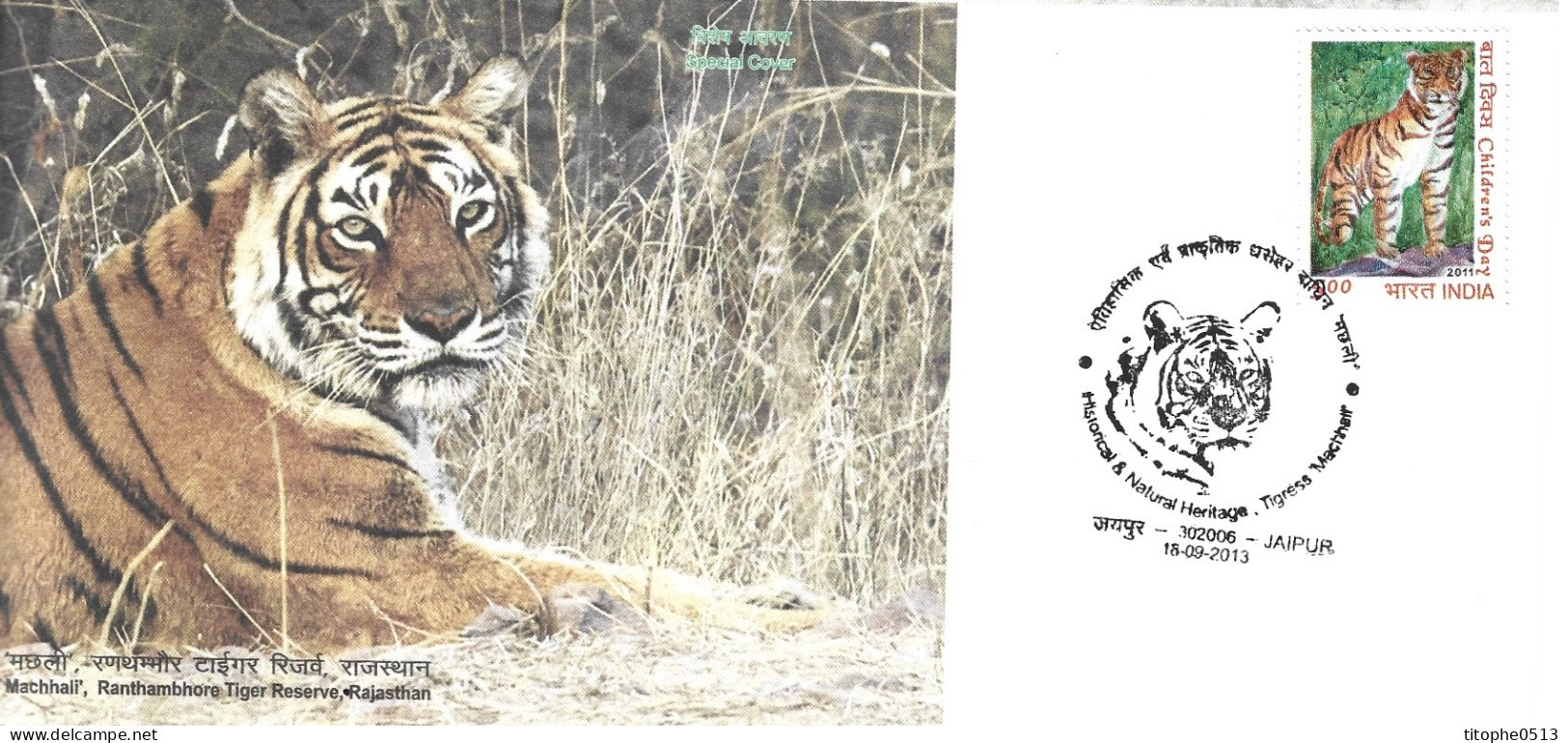 INDE. N°2356 De 2011 Sur Enveloppe Commémorative De 2013. Tigre. - Big Cats (cats Of Prey)