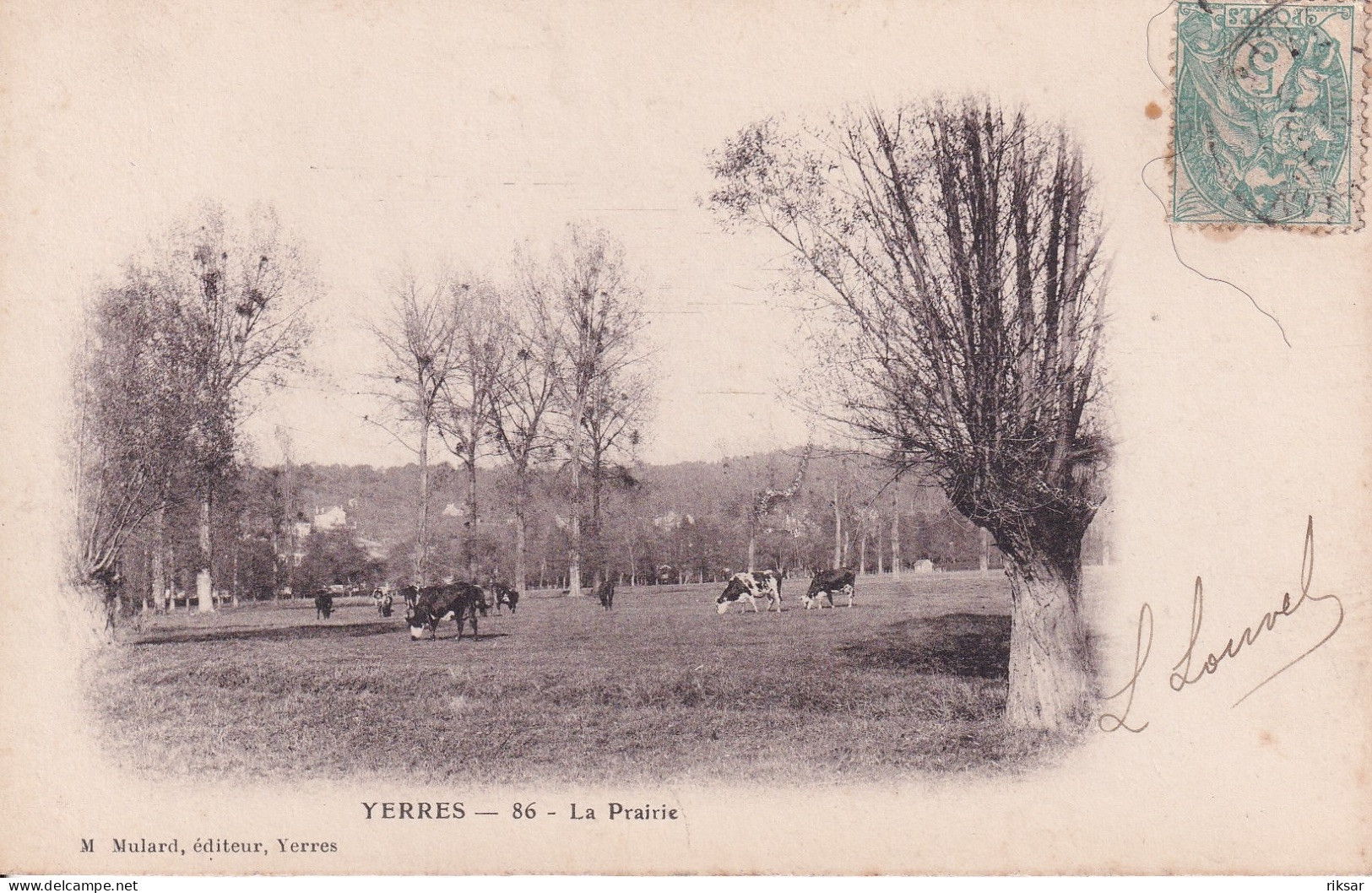 YERRES(ARBRE) TIRAGE 1900(VACHE) - Yerres