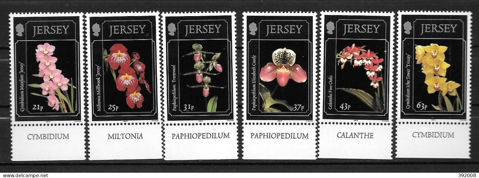 15 - JERSEY - 589 à 593 **MNH - Orchids