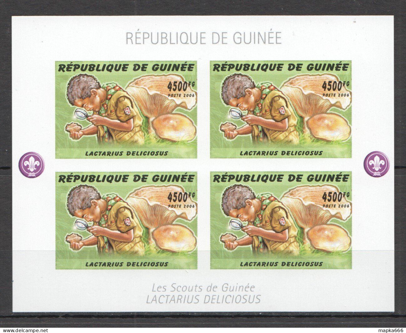 B0430 Imperf 2006 Guinea Mushrooms Scouting Boy Scouts Flora 1Kb Mnh - Funghi