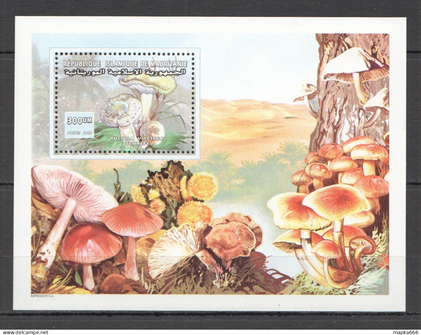 B0484 2000 Mauritania Flora Nature Mushrooms Bl Mnh - Pilze