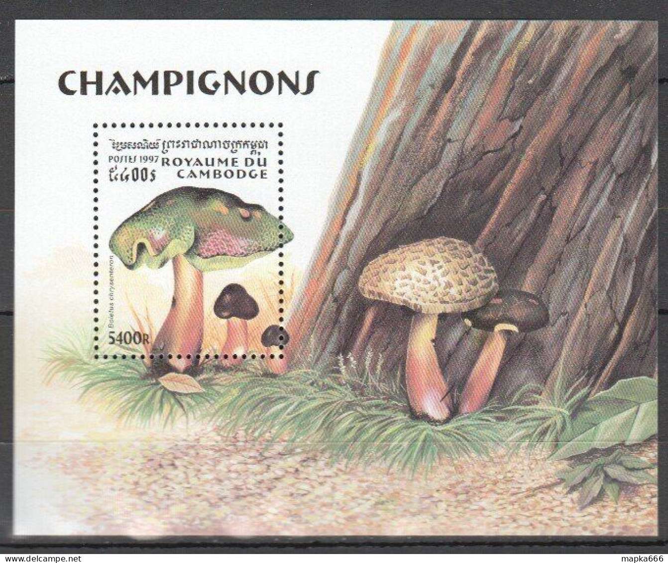 B0962 1997 Cambodia Flora Nature Mushrooms 1Bl Mnh - Hongos
