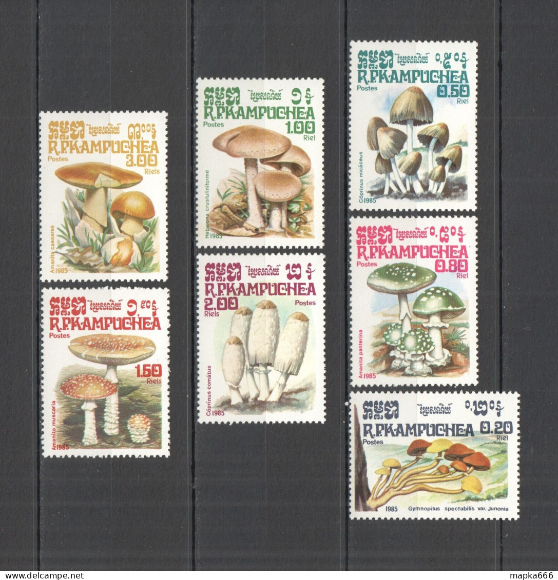 B0961 1985 Cambodia R.P.Kampuchea Flora Nature Mushrooms 1Set Mnh - Hongos