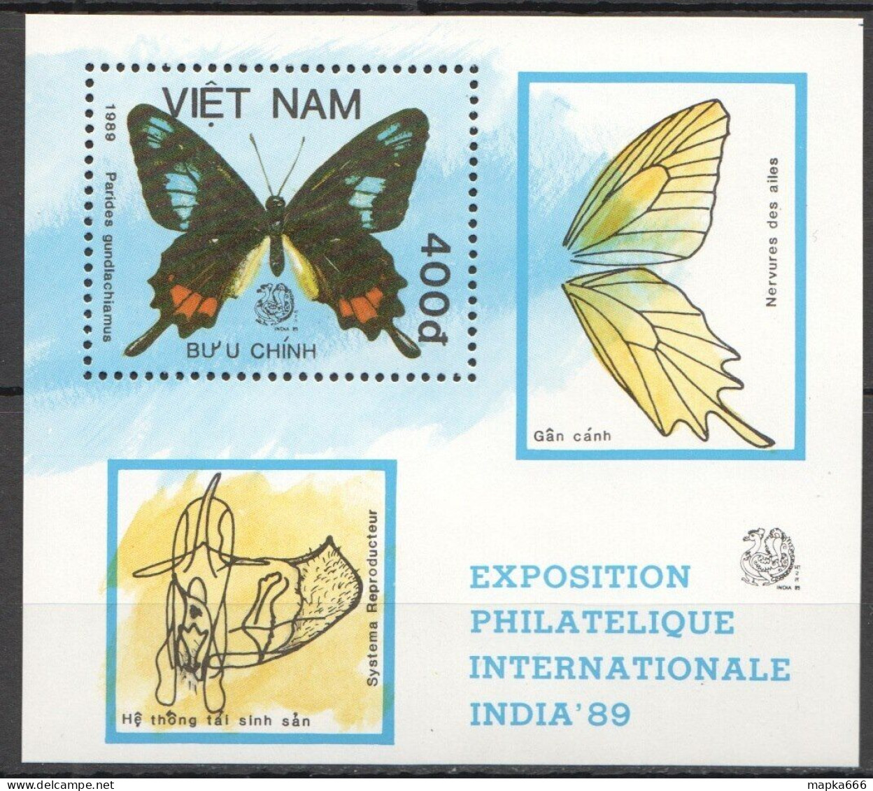 B0970 1989 Vietnam Flora & Fauna Butterflies India 89 1Bl Mnh - Papillons
