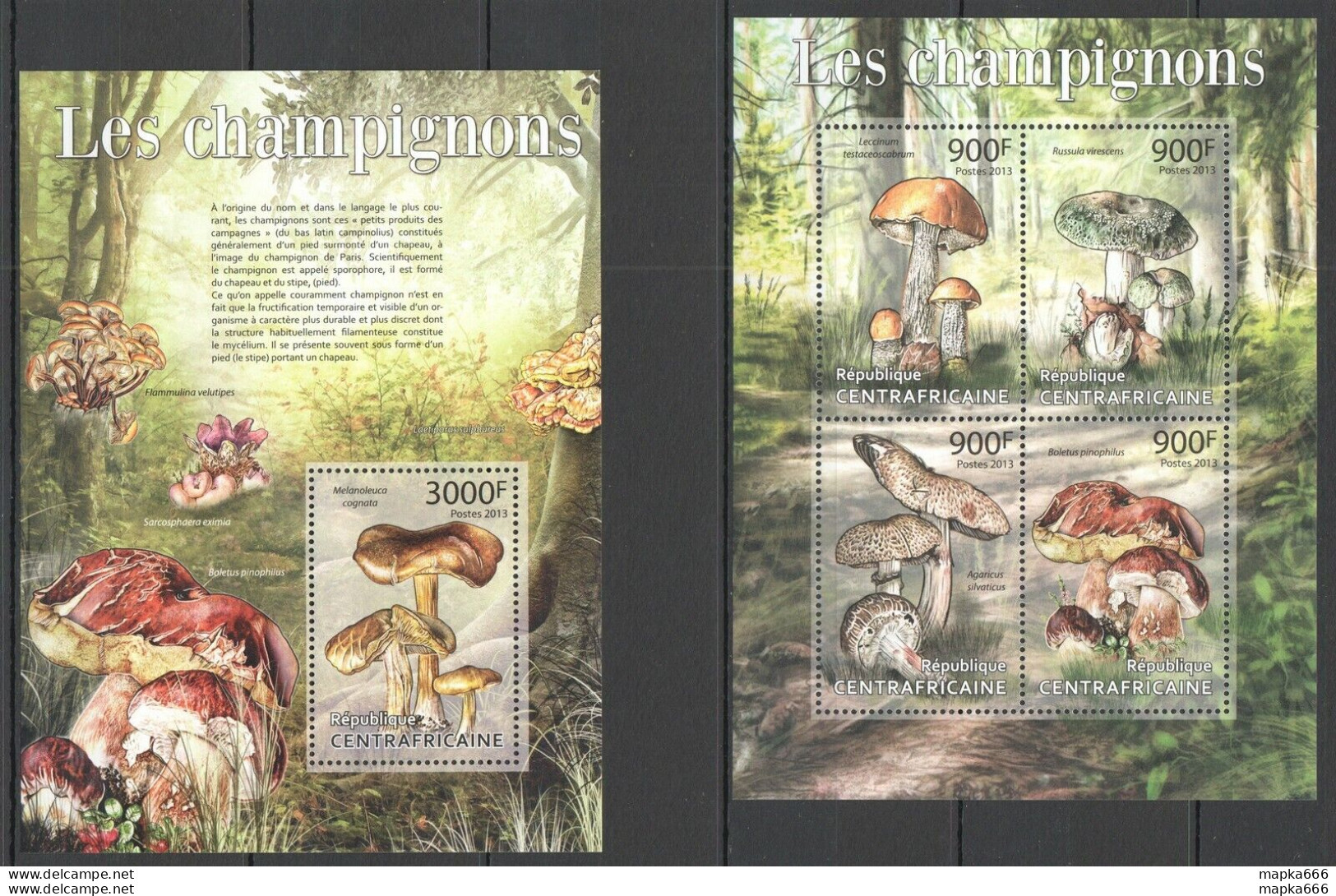 Ca630 2013 Central Africa Nature Flora Mushrooms Les Champignons Kb+Bl Mnh - Paddestoelen