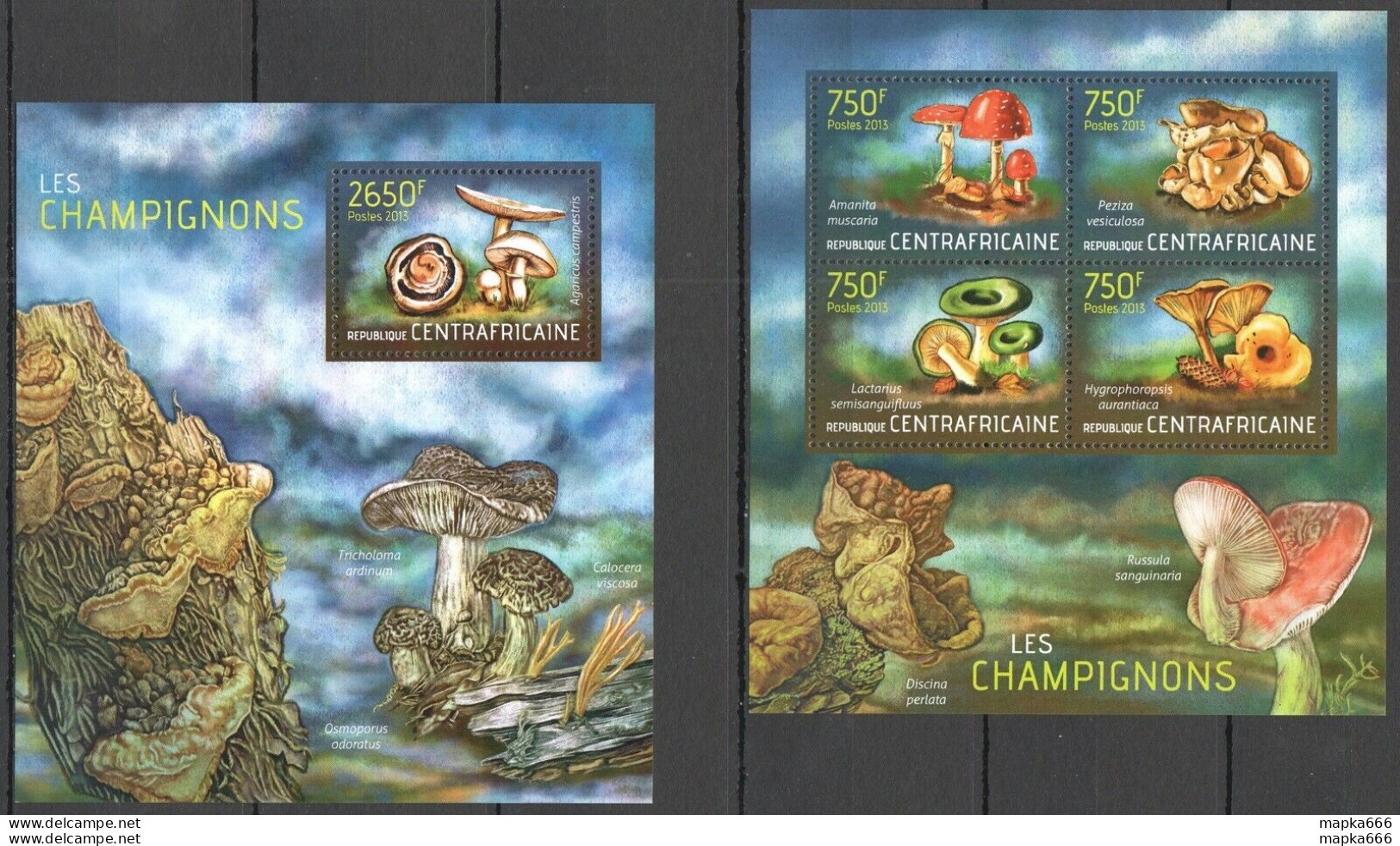 Ca706 2013 Central Africa Nature Flora Mushrooms Les Champignons Kb+Bl Mnh - Champignons