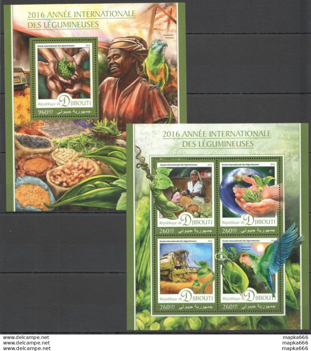Dj066 2016 Djibouti Flora Plant Agroculture International Legumineuses Kb+Bl Mnh - Autres & Non Classés