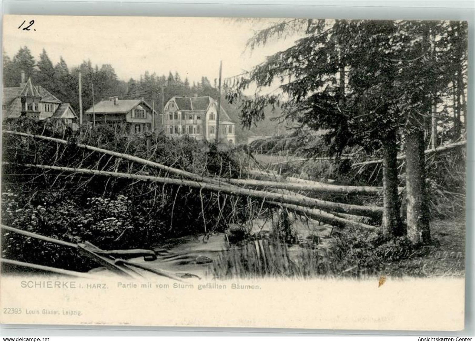 13520801 - Schierke Am Brocken - Schierke