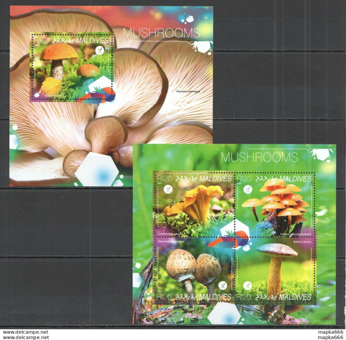 Ml689 2014 Maldives Flora Nature Mushrooms Bl+Kb Mnh - Champignons