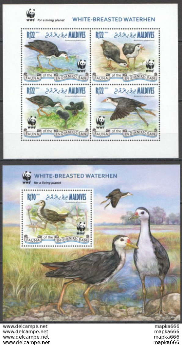 Nw0559 2013 Maldives Wwf Birds White-Breasted Waterhen #4878-4881+Bl641 Mnh - Nuevos