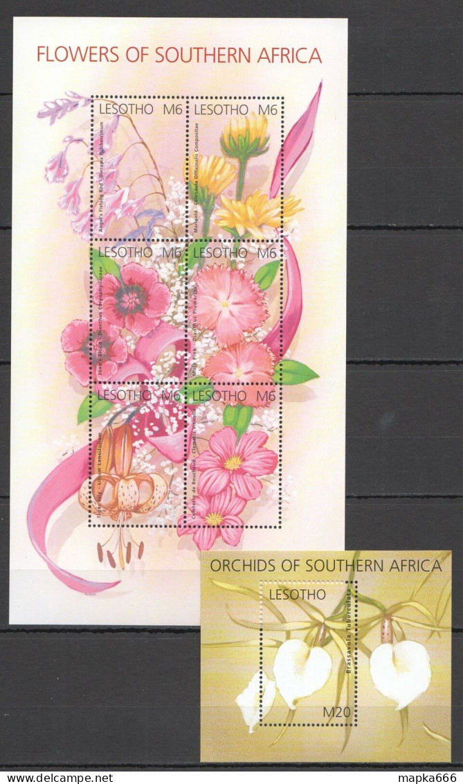 Oz0235 Lesotho Flowers Orchids Of Southern Africa Flora 1Kb+1Bl Mnh - Orchidées