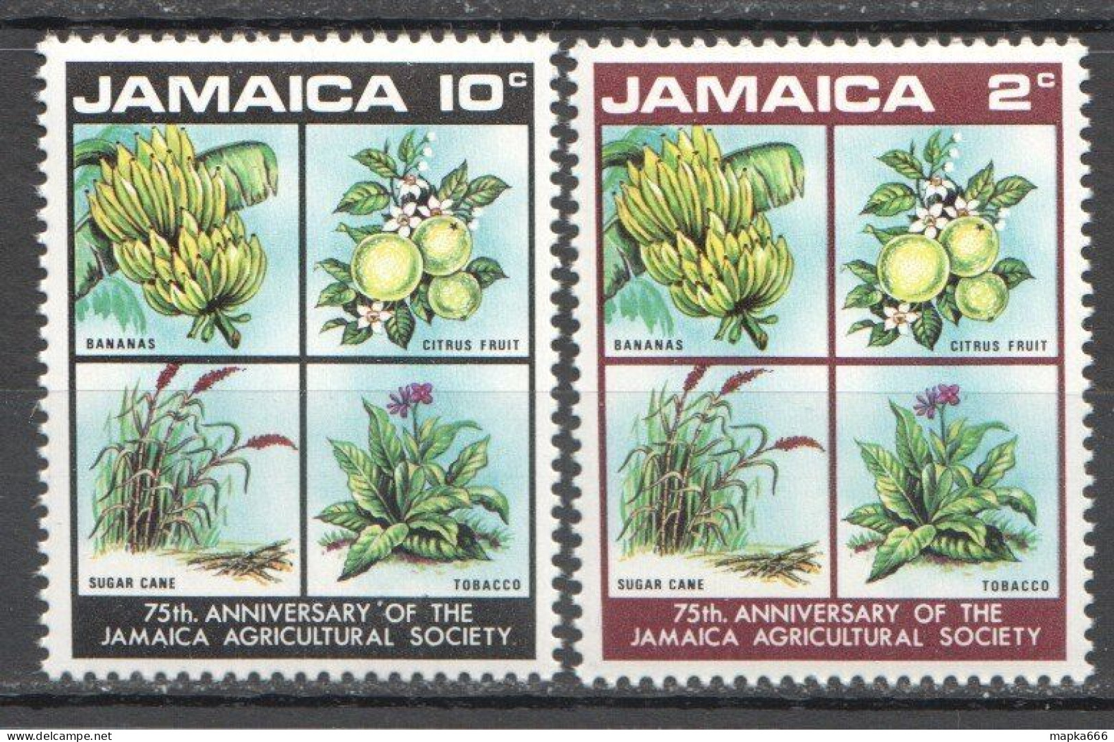 Wb177 Jamaica Agricultural Society Nature Flora Plants Fruits Flowers Set Mnh - Autres & Non Classés