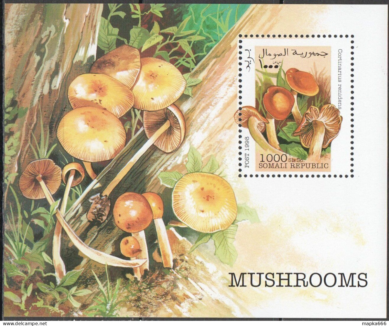 Wb218 1998 Flora Nature Mushrooms 1Bl Mnh - Champignons