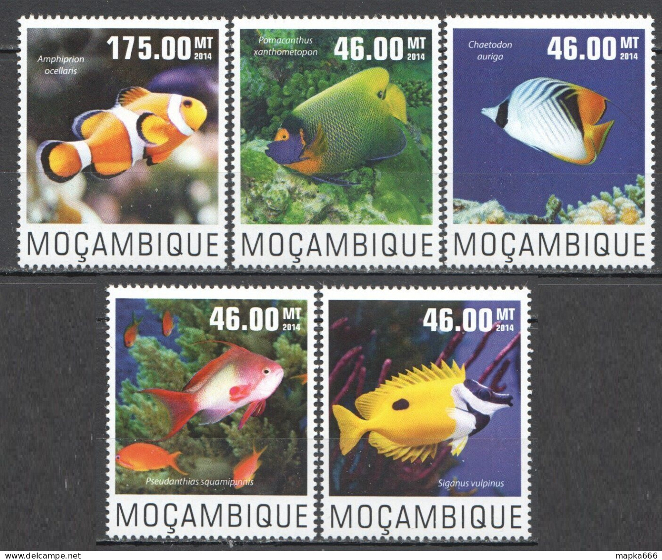 Wb295 2014 Mozambique Fishes Marine Life Fauna #7575-79 Set Mnh - Marine Life