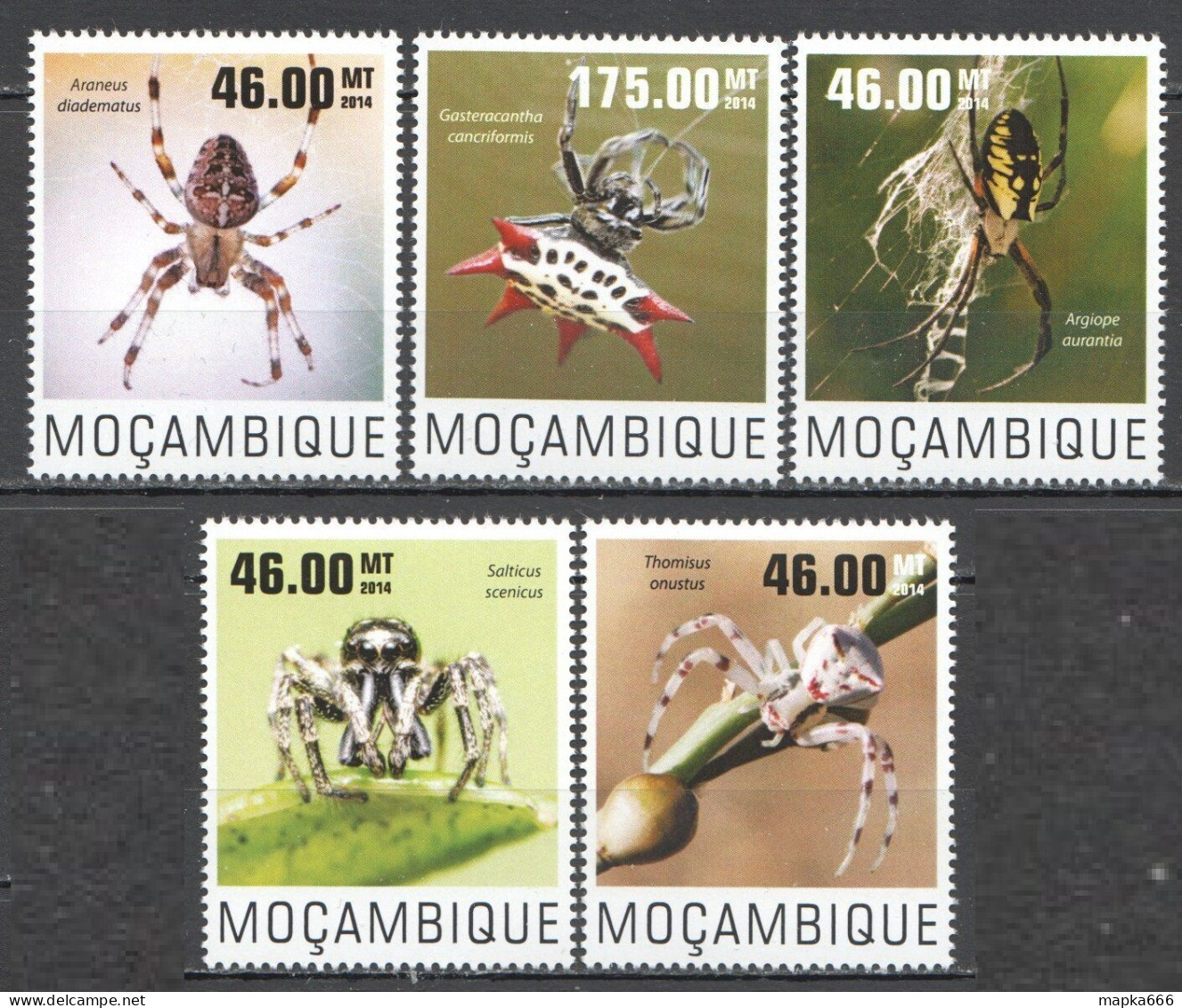 Wb297 2014 Mozambique Spiders Insects Fauna #7560-64 Set Mnh - Autres & Non Classés