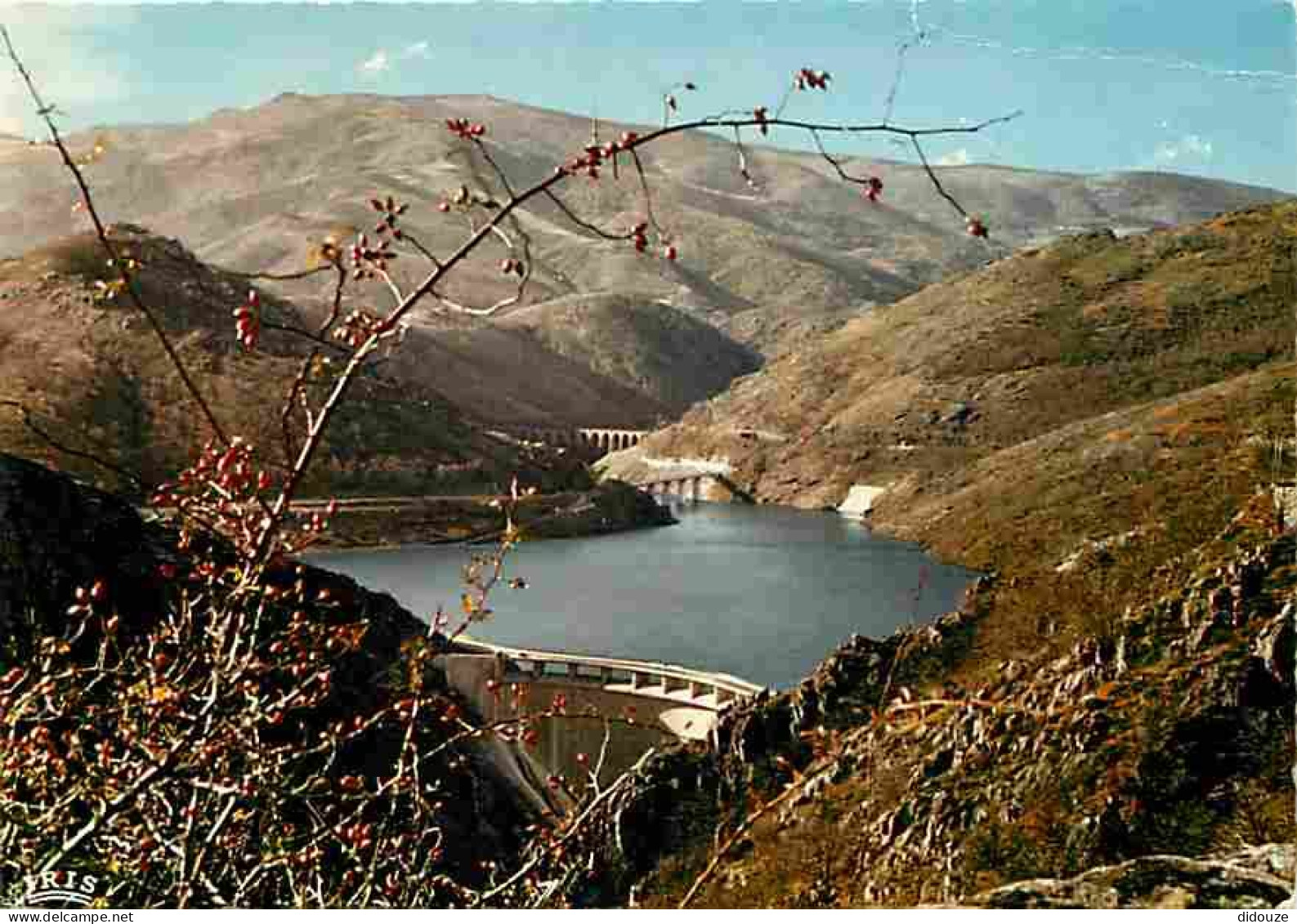 48 - Villefort - Plan D'eau Et Barrage - CPM - Voir Scans Recto-Verso - Villefort