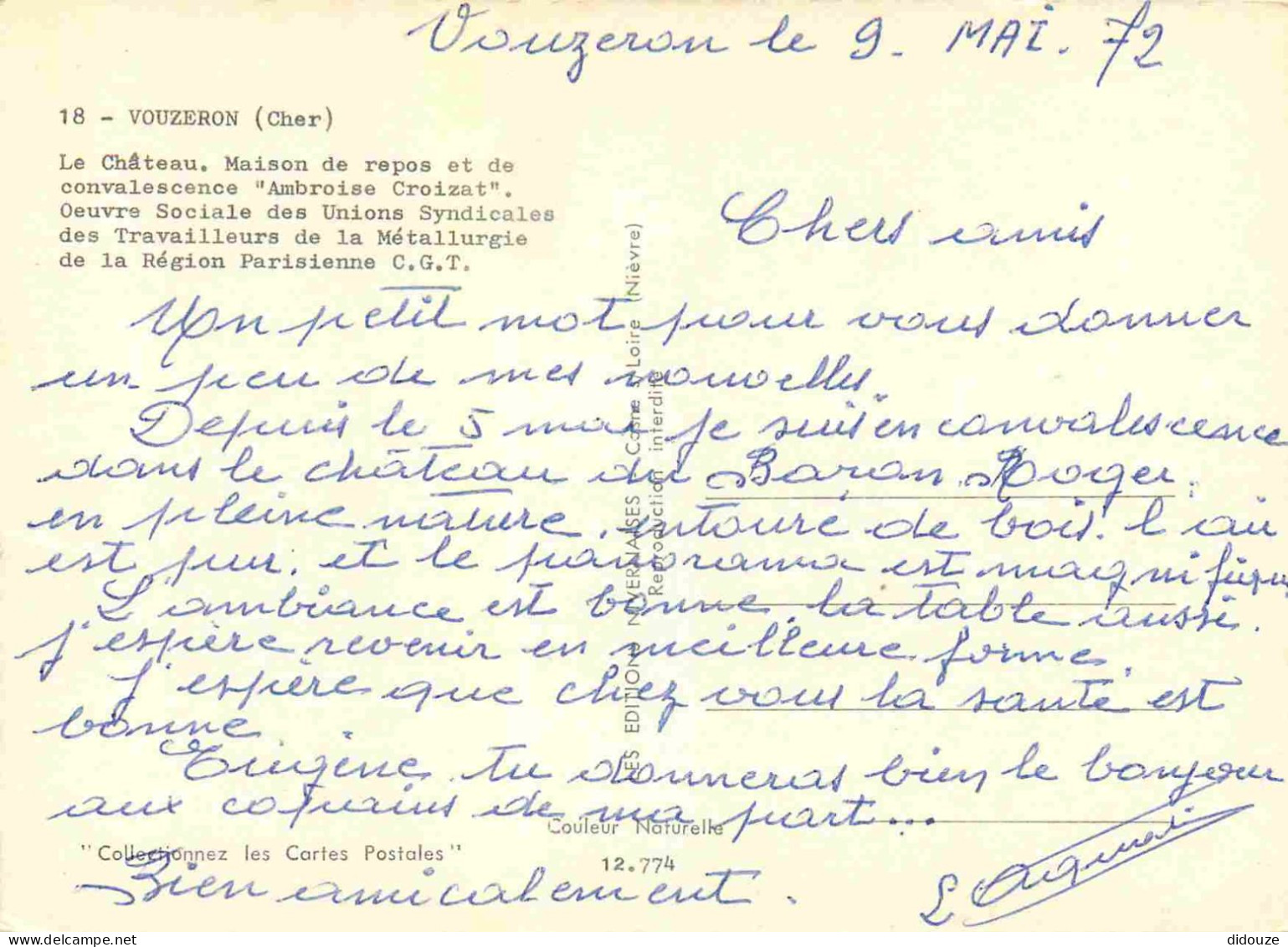 18 - Vouzeron - Le Château - CPM - Voir Scans Recto-Verso - Vouzeron